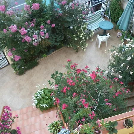 Stoyanovi Gæstehus 3*